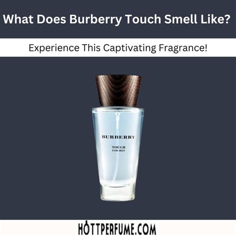 burberry top notes lime perfume|what does Burberry smell like.